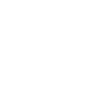 euro